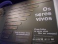 /album/vida/seres-vivos-2-jpg/